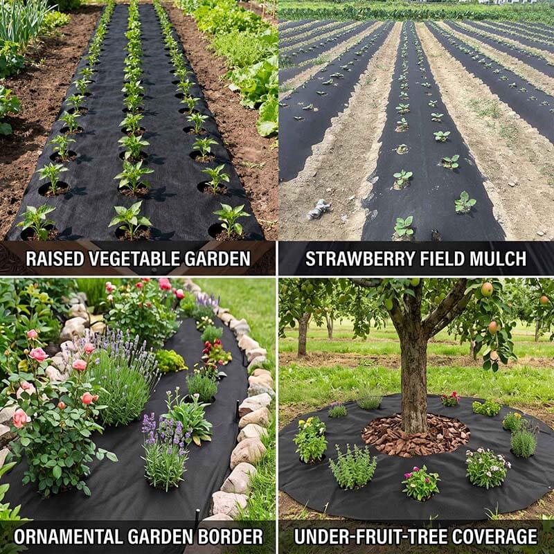 Pre-cut hole weed barrier fabric used in vegetable gardens, strawberry beds and flower borders